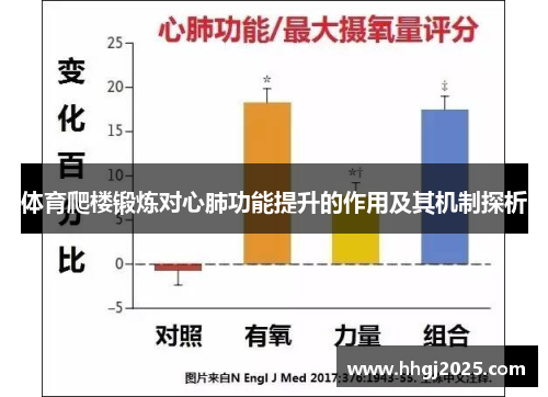 体育爬楼锻炼对心肺功能提升的作用及其机制探析